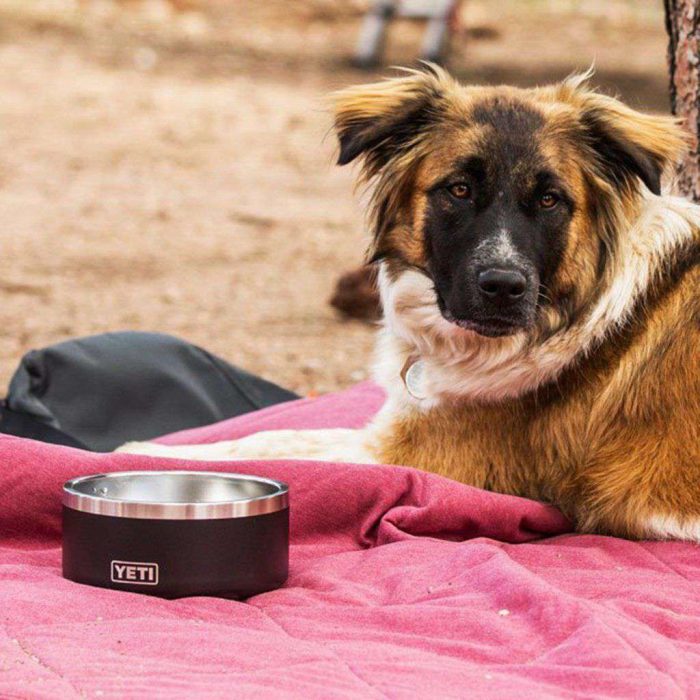 Boomer 4 Dog Bowl by YETI