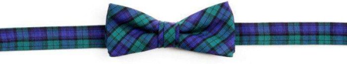 Campbell Tartan Boy's Bow in Green and Navy by High Cotton