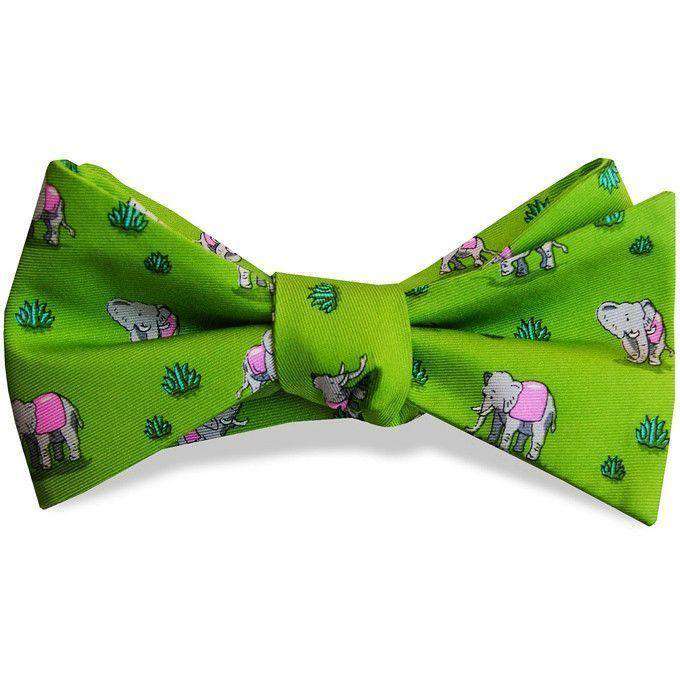 Elephant Club Bow Tie in Lime by Bird Dog Bay