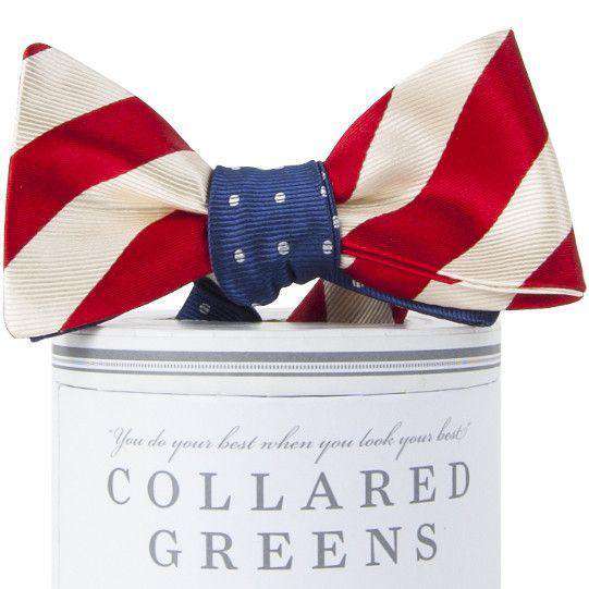 Stars and Stripes Mixer Bow in Red, White and Blue by Collared Greens