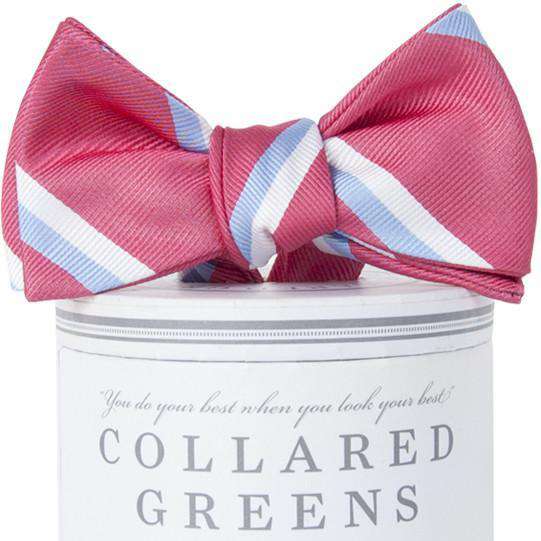The George Bow Tie in Pink and Carolina Blue by Collared Greens