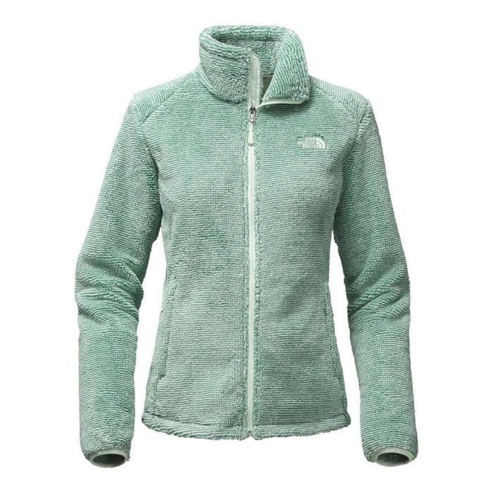 Women's Osito 2 Full Zip Fleece Jacket in Ambrosia Green by The North Face